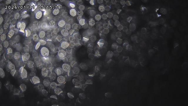 取得できませんでした