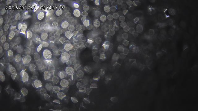 取得できませんでした