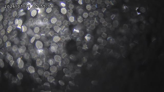 取得できませんでした