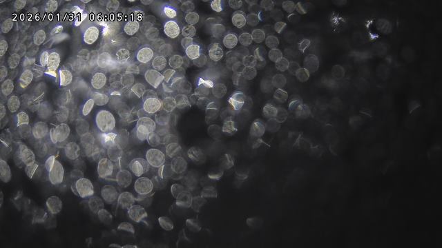 取得できませんでした