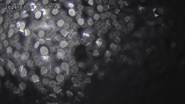 取得できませんでした