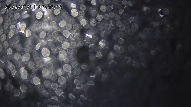 取得できませんでした