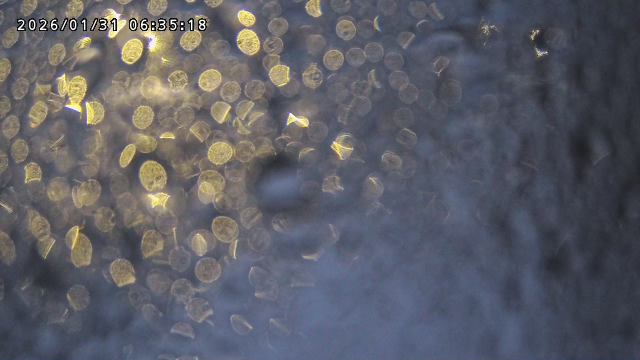 取得できませんでした