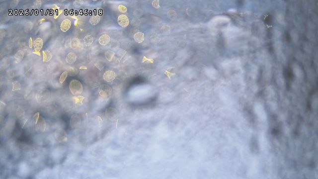 取得できませんでした