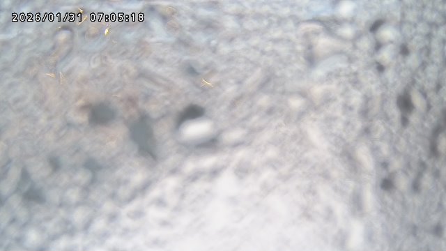 取得できませんでした