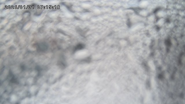 取得できませんでした