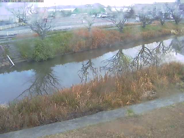 取得できませんでした