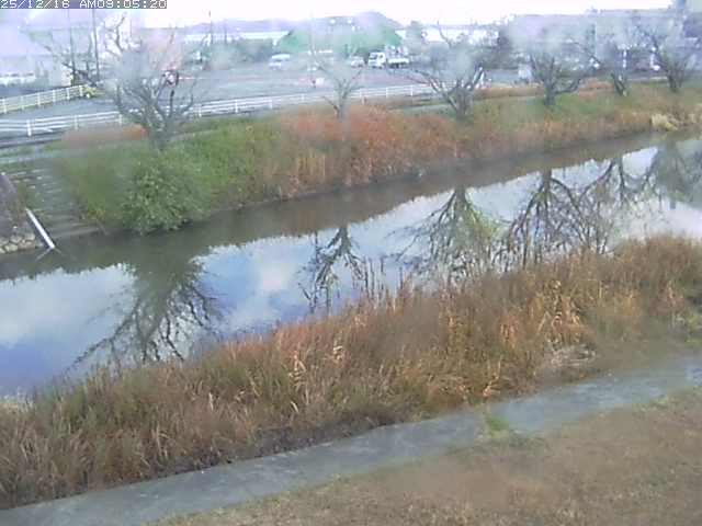 取得できませんでした