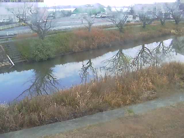 取得できませんでした