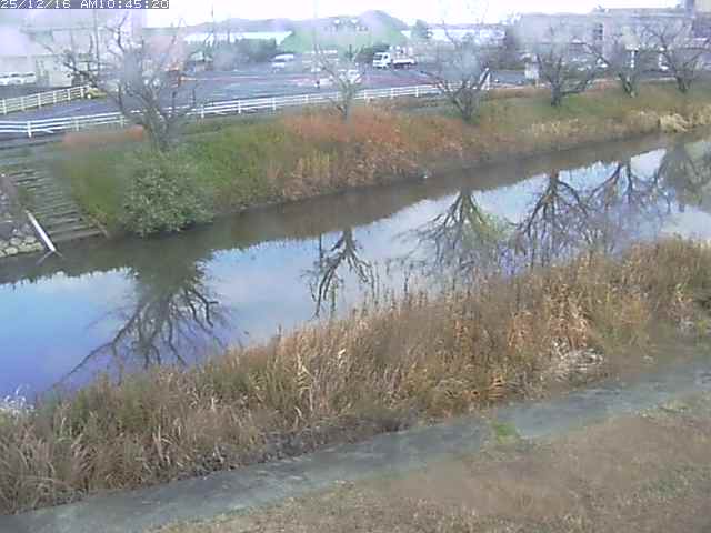 取得できませんでした