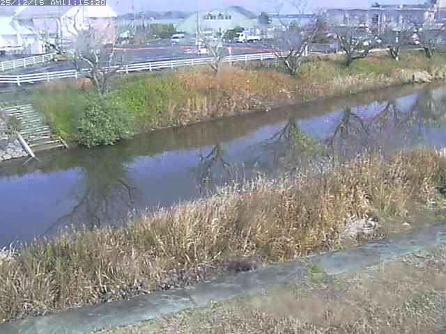 取得できませんでした