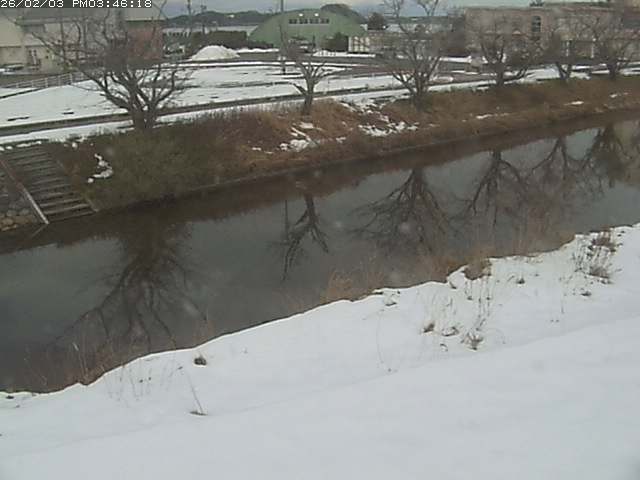 取得できませんでした