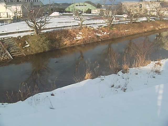 取得できませんでした