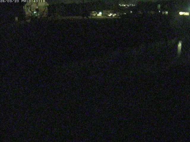 取得できませんでした