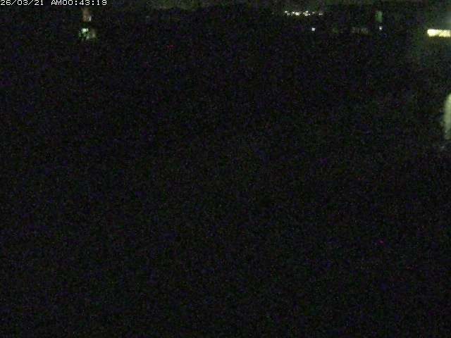 取得できませんでした