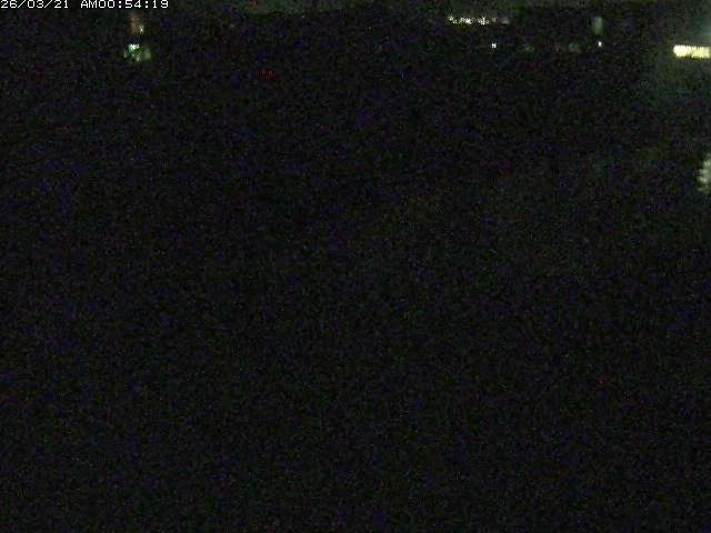 取得できませんでした