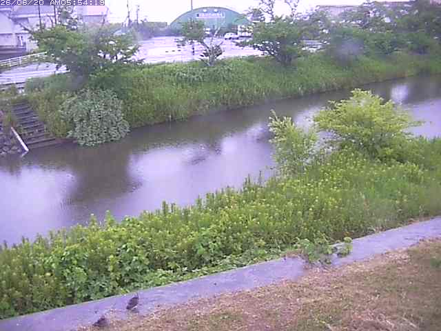 取得できませんでした