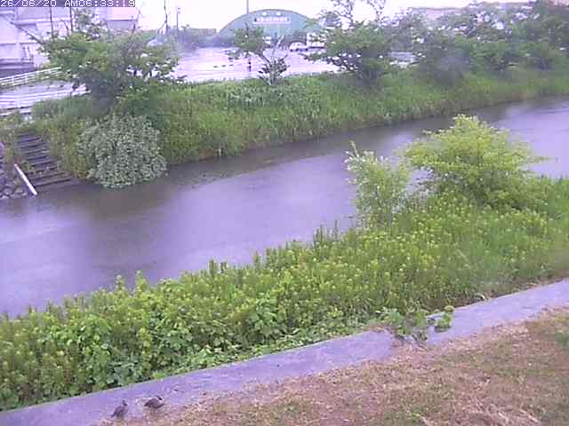 取得できませんでした