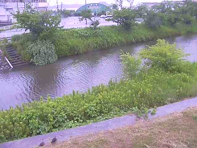 取得できませんでした
