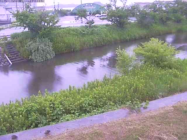 取得できませんでした