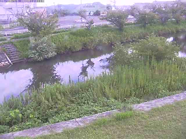 取得できませんでした