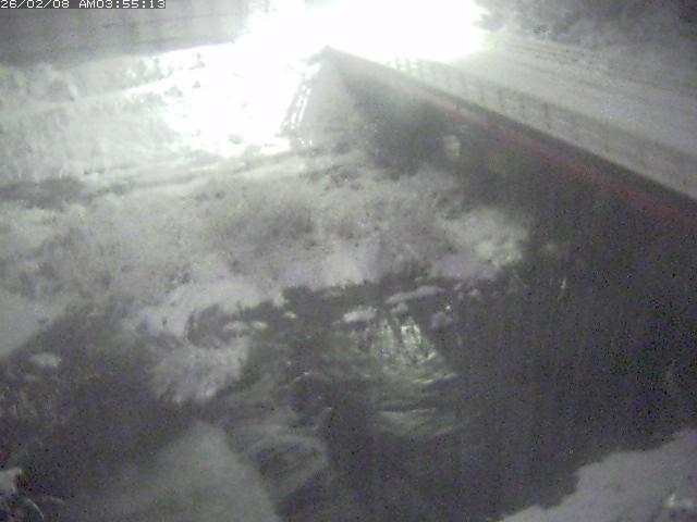 取得できませんでした