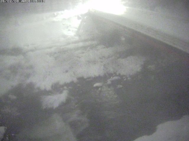 取得できませんでした