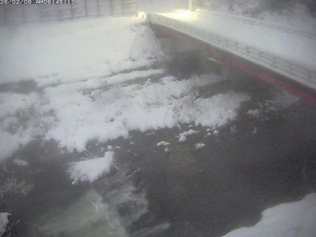 取得できませんでした