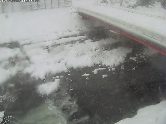 取得できませんでした