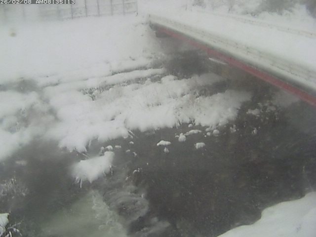 取得できませんでした