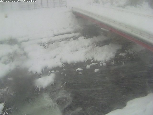 取得できませんでした