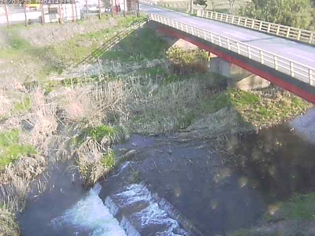 取得できませんでした