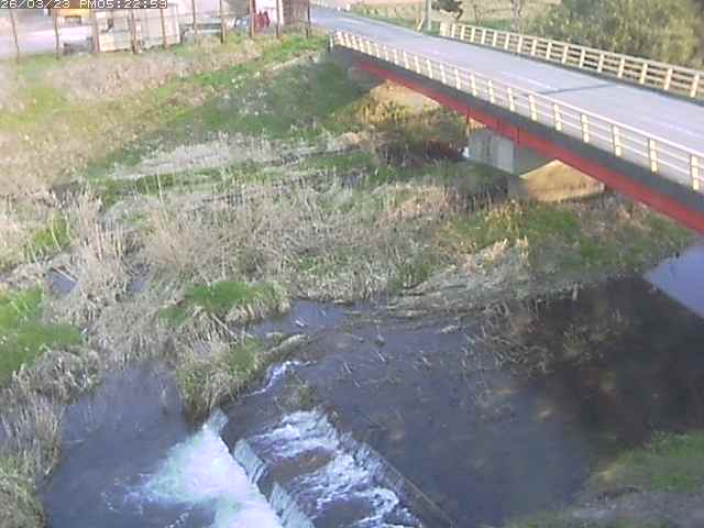 取得できませんでした