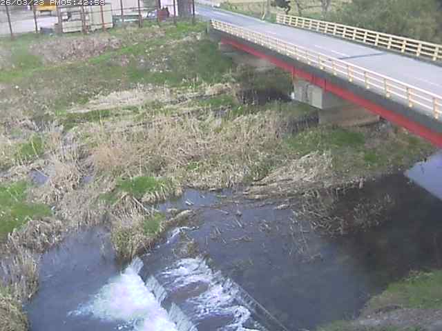 取得できませんでした