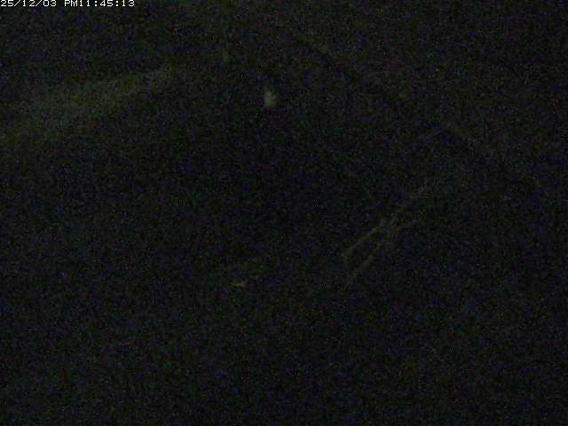 取得できませんでした