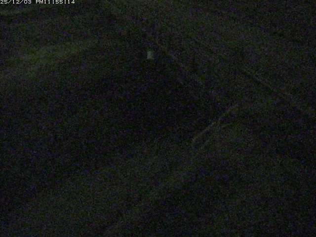 取得できませんでした