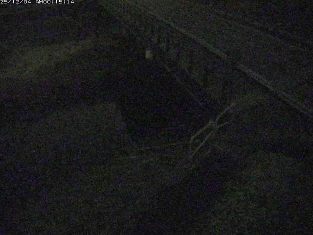 取得できませんでした