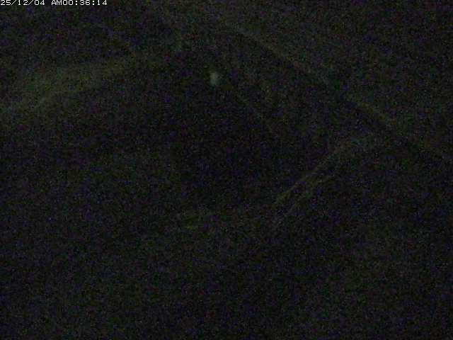 取得できませんでした