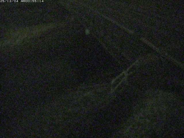 取得できませんでした