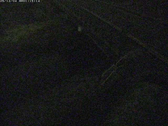 取得できませんでした