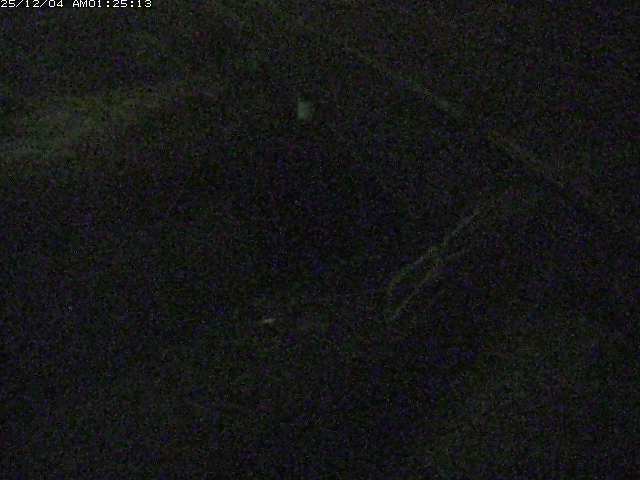 取得できませんでした