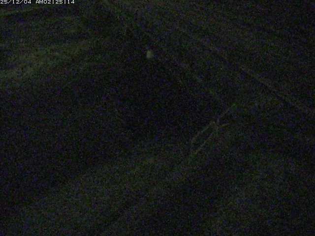 取得できませんでした