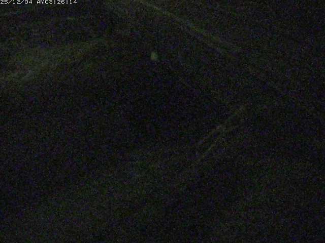 取得できませんでした