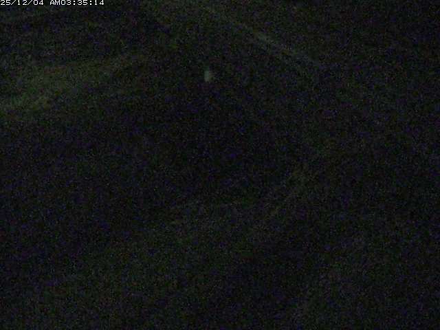 取得できませんでした