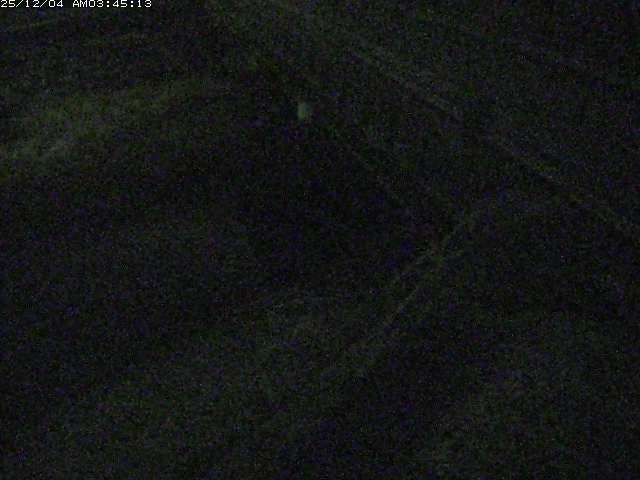 取得できませんでした