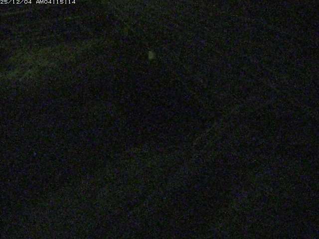 取得できませんでした