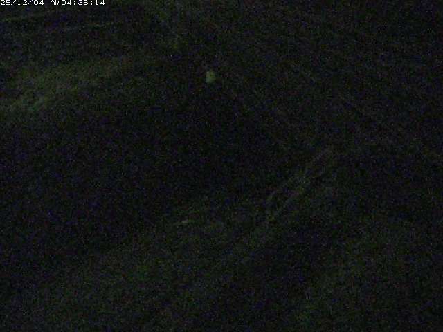 取得できませんでした