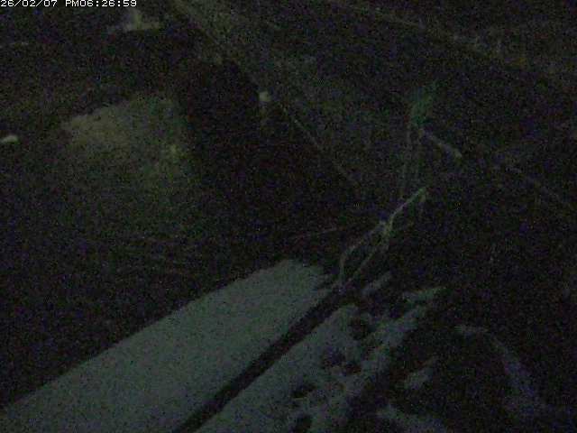 取得できませんでした