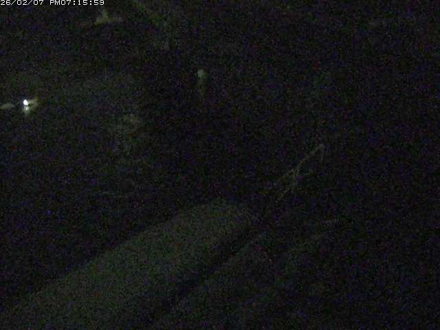 取得できませんでした