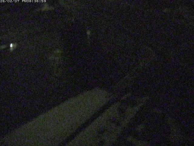 取得できませんでした